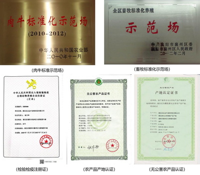 70年歷史國企推出&ldquo;豚點&rdquo;牛肉 供港品質(zhì)惠及武漢市民